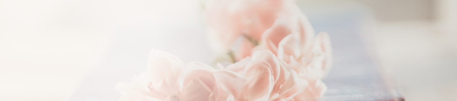 Närbild av mjuka rosa blommor i ett diffust ljus.